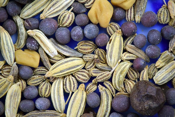 Indian spices with reversed Pentax 67 200 mm f/4 lens at f/8 Zerene Stacker DMap stack of 60 images